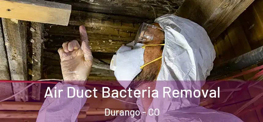  Air Duct Bacteria Removal Durango - CO