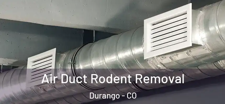 Air Duct Rodent Removal Durango - CO