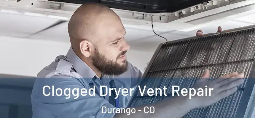  Clogged Dryer Vent Repair Durango - CO