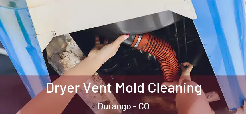 Dryer Vent Mold Cleaning Durango - CO