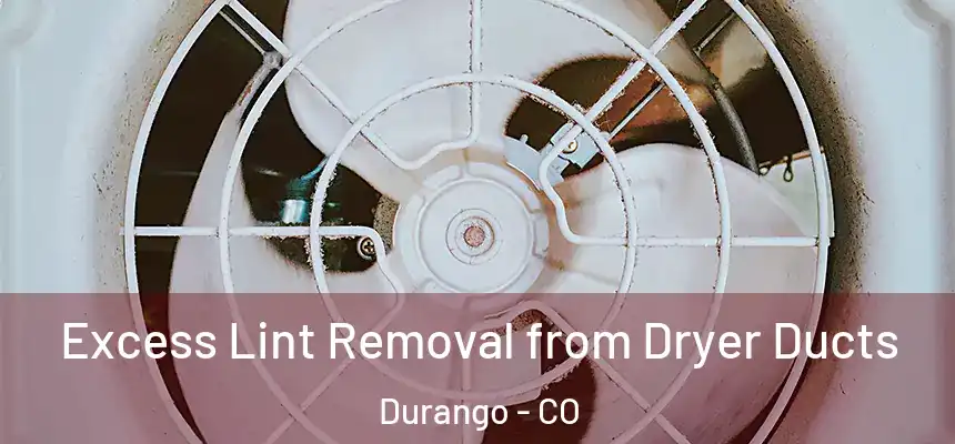 Excess Lint Removal from Dryer Ducts Durango - CO