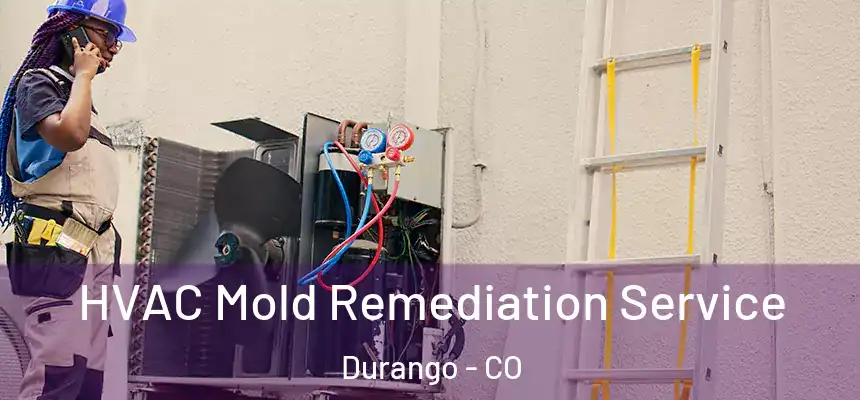  HVAC Mold Remediation Service Durango - CO
