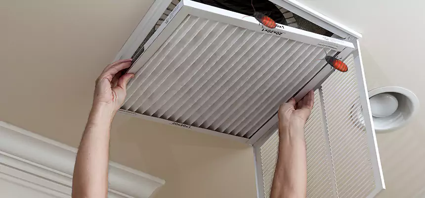 Preventive Cockroach-Proofing for Ducts in Durango