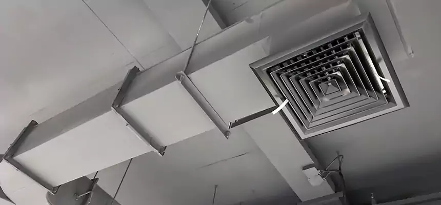 Restorative Allergy Relief Vent Cleaning – Coil, Blower & Housing Detail in Durango