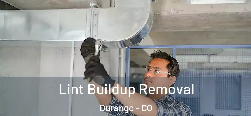  Lint Buildup Removal Durango - CO