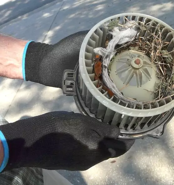 About Air Duct Rat Removal in Durango, CO