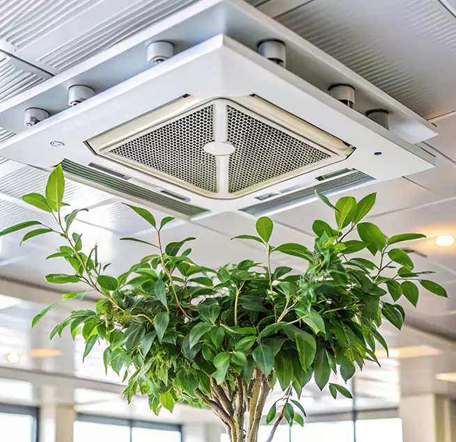 Why Homeowners & Businesses Trust Us in Durango, CO