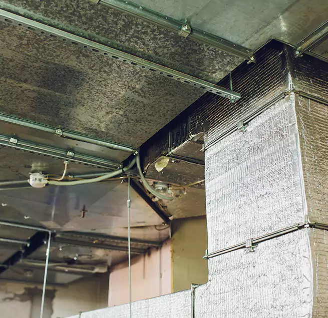 Why Homeowners & Businesses Trust Us in Durango, CO?